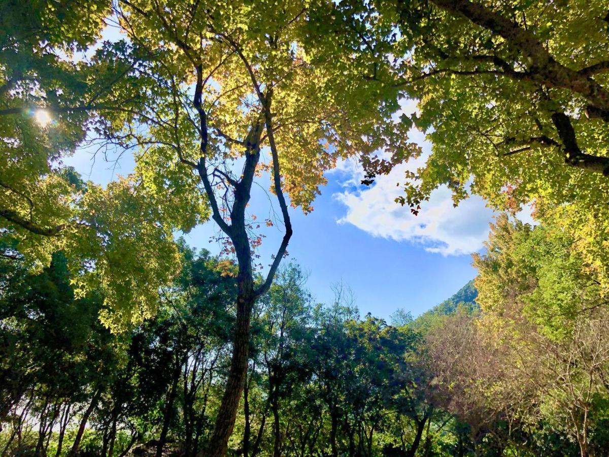 慢水山丘民宿 Slow Water Hill Yuemei エクステリア 写真